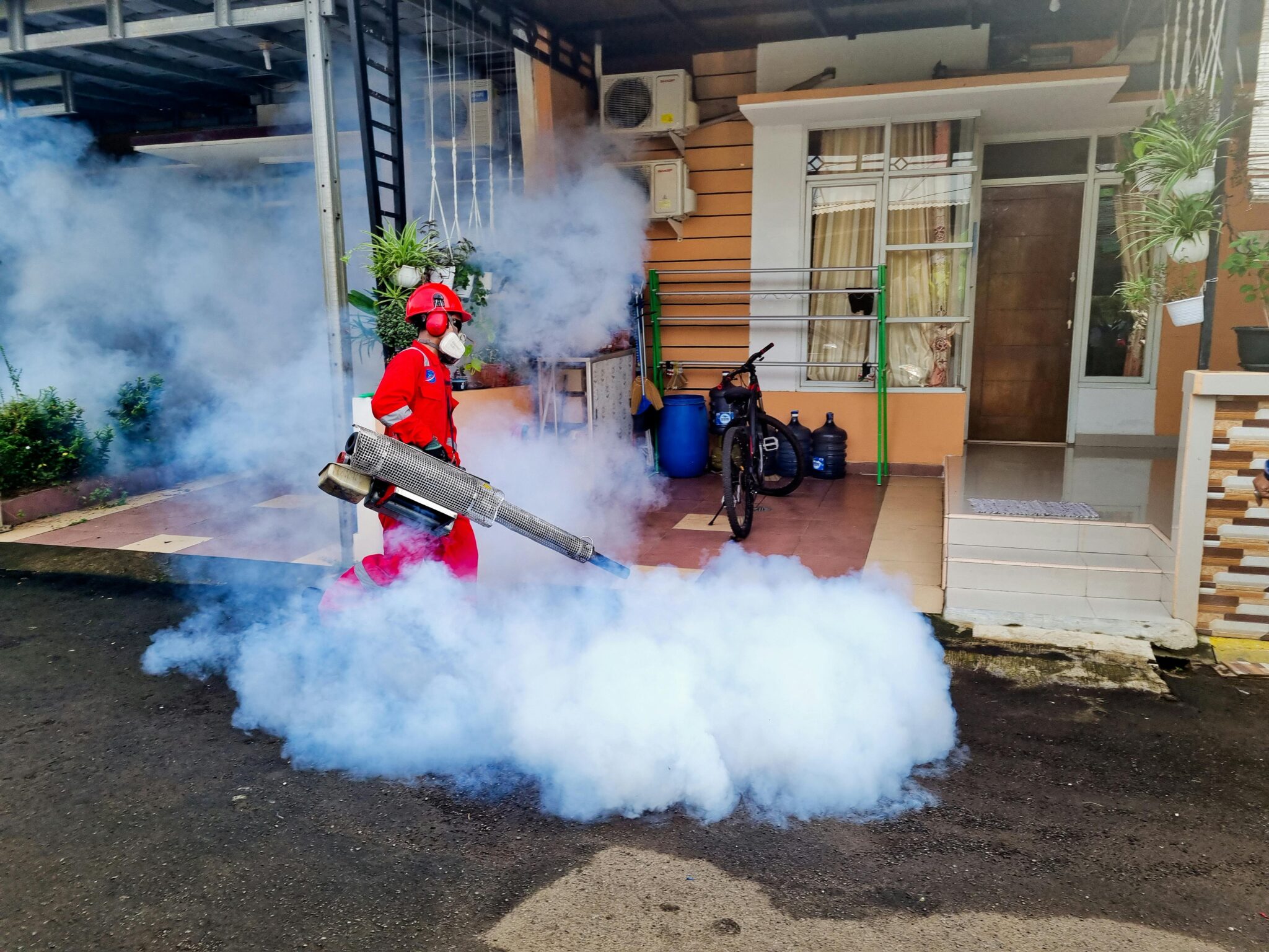 Termite Control