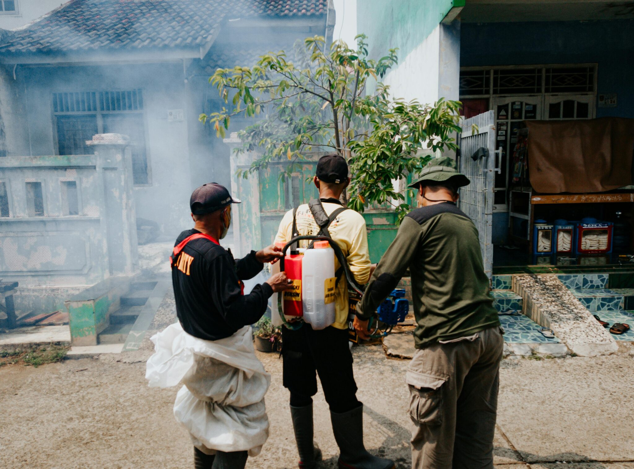 Termite Control